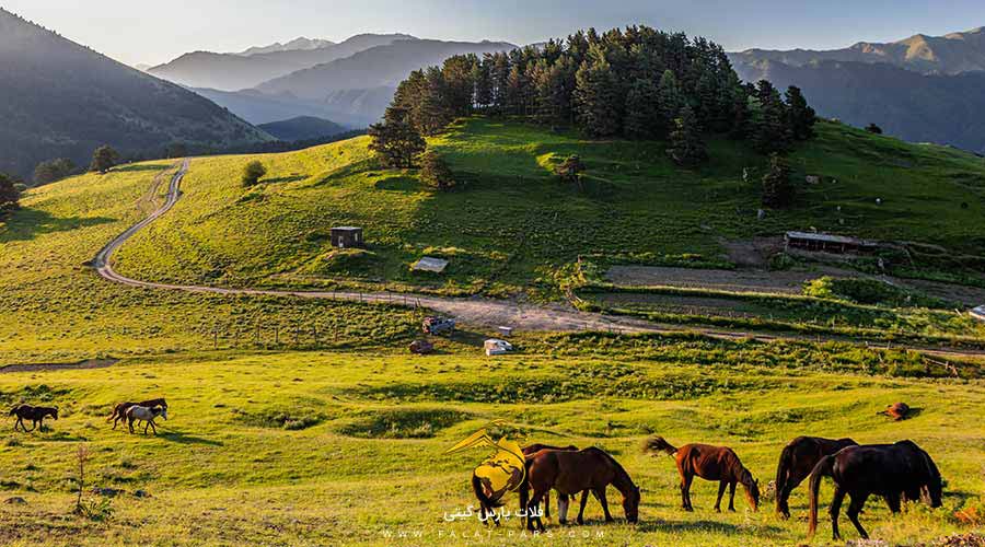 پارک ملی توشتی گرجستان